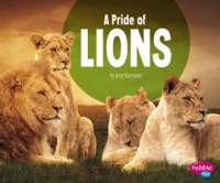 A_Pride_of_Lions