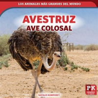 Avestruz__ave_colosal__Ostrich__Colossal_Bird_