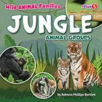 Jungle_Animal_Groups