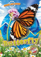 Animal_Life_Cycles__Butterfly
