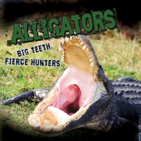 Alligators__Big_Teeth__Fierce_Hunters_