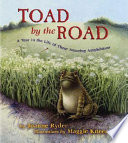 Toad_by_the_road