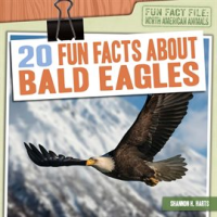 20_Fun_Facts_About_Bald_Eagles