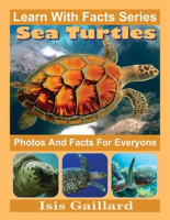 Sea_Turtles_Photos_and_Facts_for_Everyone