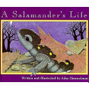 A_salamander_s_life