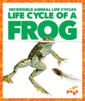 Life_Cycle_of_a_Frog