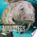 Face_to_face_with_manatees
