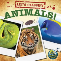 Let_s_Classify_Animals_