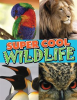 Super_Cool_Wildlife
