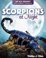 Scorpions_at_Night