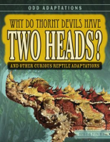 Why_Do_Thorny_Devils_Have_Two_Heads_