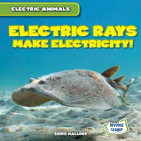Electric_Rays_Make_Electricity_