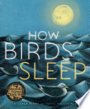 How_birds_sleep