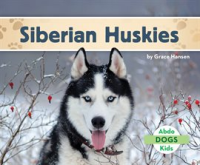 Siberian_Huskies