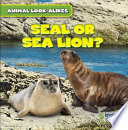 Seal_or_sea_lion_