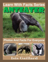 Anteater_Photos_and_Facts_for_Everyone