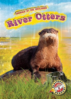 River_Otters