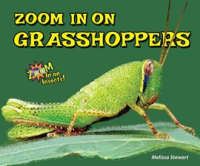 Zoom_in_on_Grasshoppers