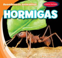 Hormigas__Ants_