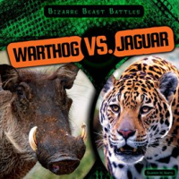 Warthog_vs__Jaguar