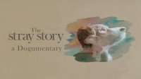 The_Stray_Story__A_Dogumentary