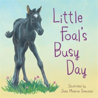 Little_Foal_s_Busy_Day