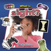 What_Is_Sight_
