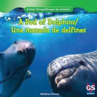 A_Pod_of_Dolphins___Una_manada_de_delfines