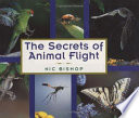 The_secrets_of_animal_flight