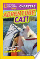 Adventure_cat_