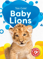 Baby_Lions