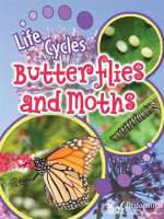 Butterflies_and_Moths
