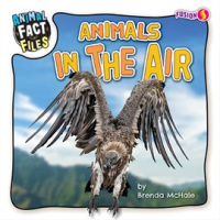 Animals_in_the_Air