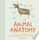 Animal_anatomy