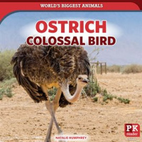Ostrich__Colossal_Bird
