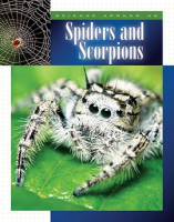 Spiders_and_Scorpions