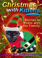 Christmas_with_Kittens__Stories_to_Share_with_the_Family