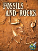 Fossils_and_rocks