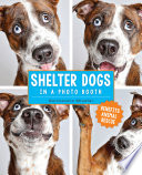 Shelter_Dogs_in_a_Photo_Booth