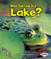 What_Can_Live_in_a_Lake_