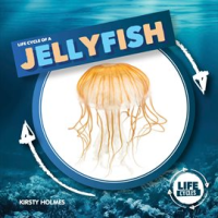 Life_Cycle_of_a_Jellyfish