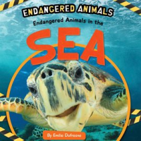 Endangered_Animals_in_the_Sea