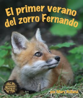 El_Primer_Verano_Del_Zorro_Fernando