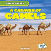 Caravan_of_Camels