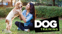 Dog_Training_101