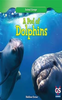 A_Pod_of_Dolphins