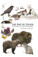The_Arctic_Guide