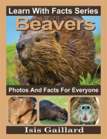 Beavers_Photos_and_Facts_for_Everyone