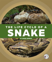 The_Life_Cycle_of_a_Snake