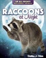 Raccoons_at_Night